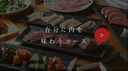 存分に肉を味わうコース